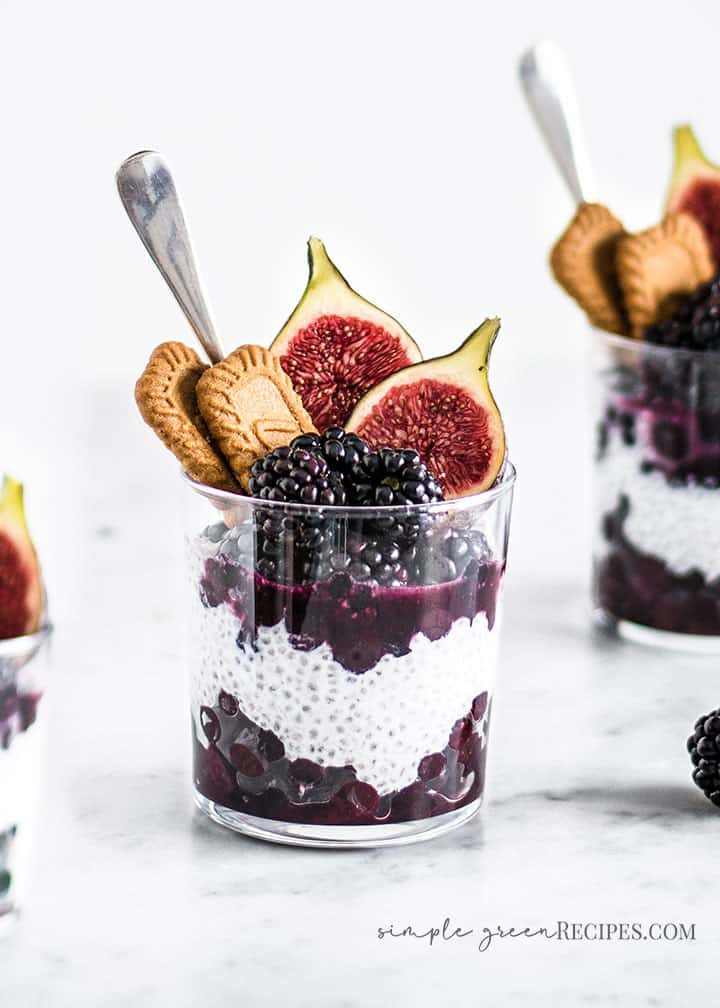 Vegan Blueberry Coconut Creamy Chia Pudding