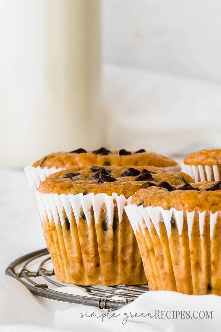 Close up of the pumpkin muffins dotted with chocolate chips.