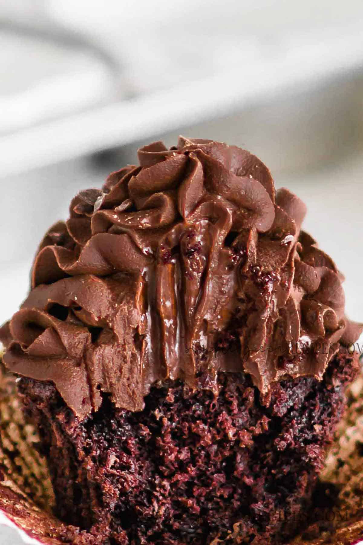 Bitten chocolate cupcake frosted with chocolate frosting.